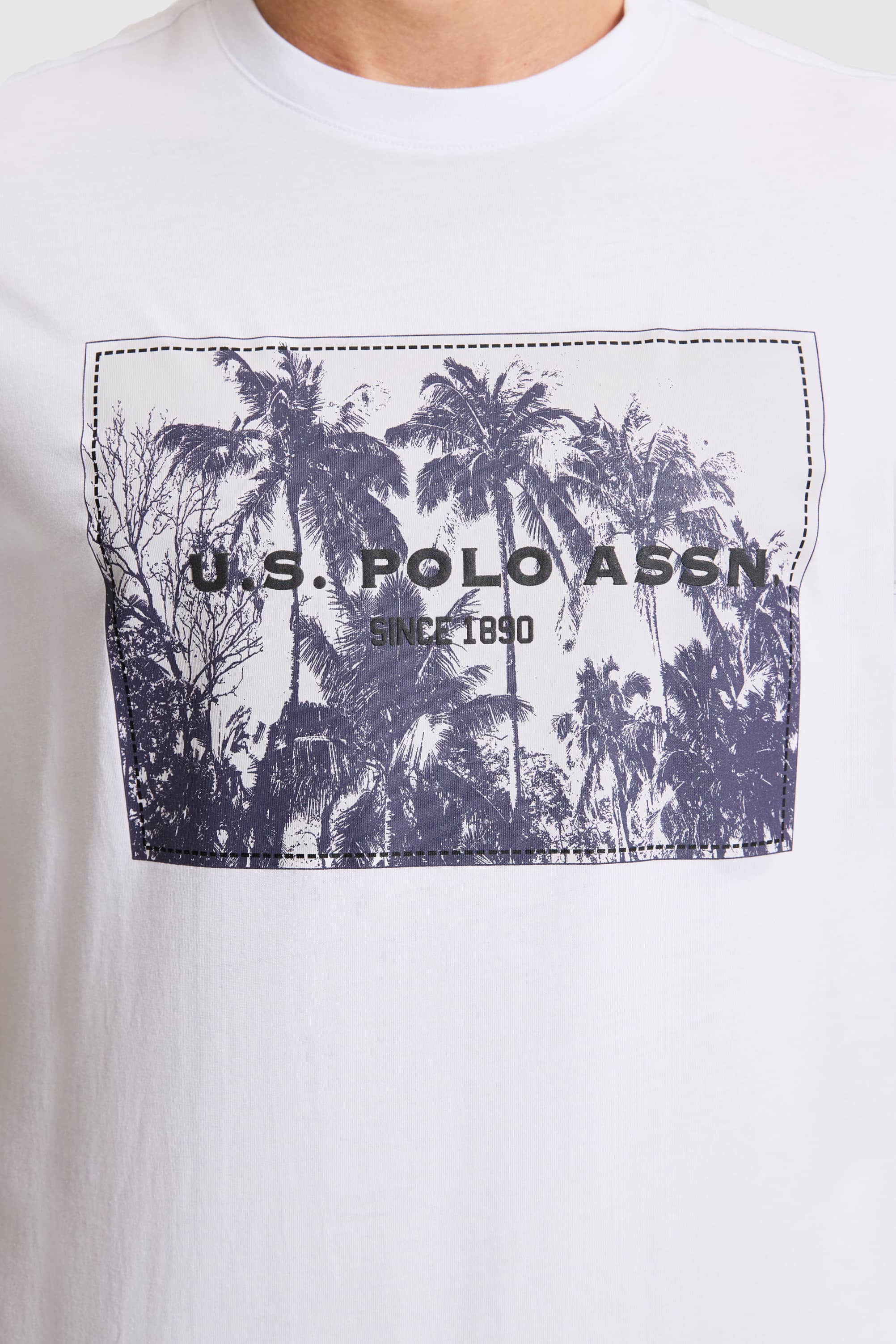 slide-6